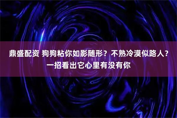 鼎盛配资 狗狗粘你如影随形?不熟冷漠似路人?一招看出它心里有没有你