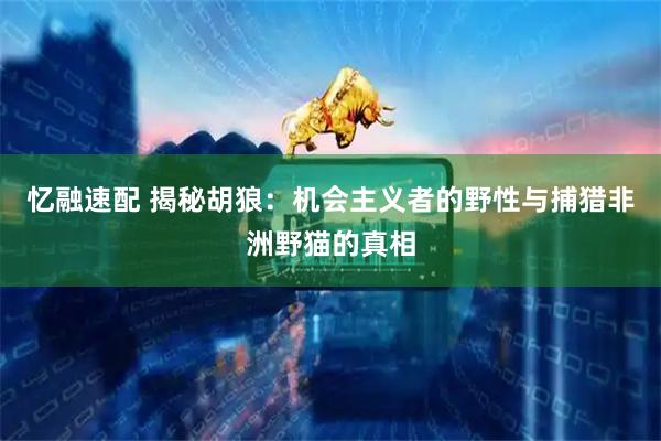 忆融速配 揭秘胡狼：机会主义者的野性与捕猎非洲野猫的真相