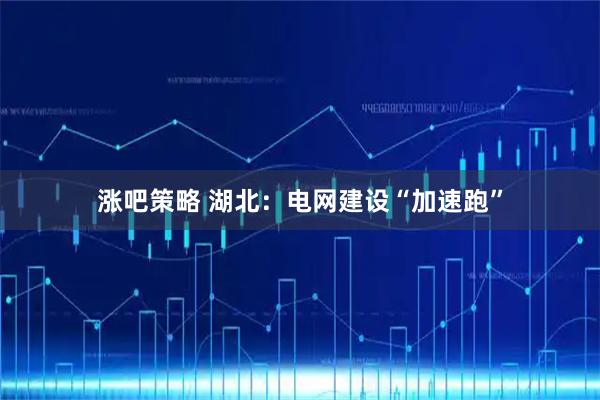 涨吧策略 湖北：电网建设“加速跑”